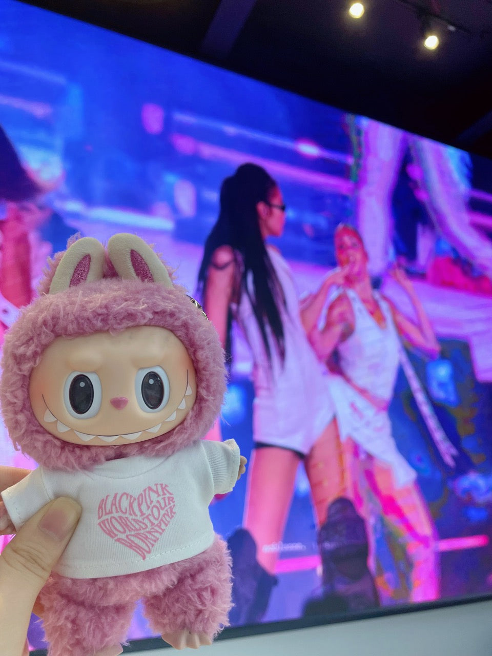 LABUBU *BLACKPINK Clothes Outfit(For V1&V2&V3)
