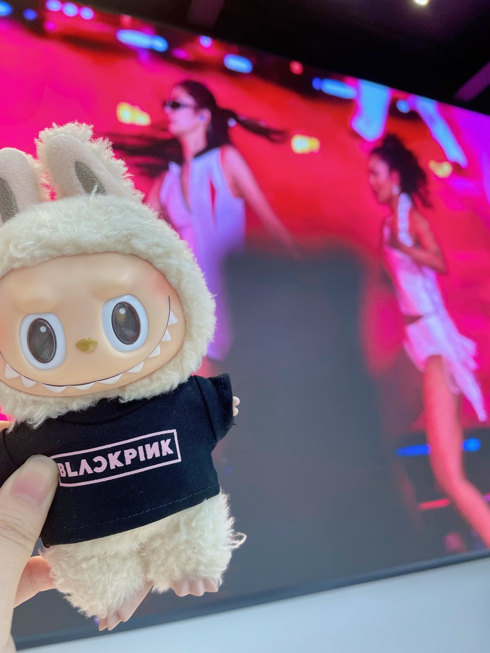 LABUBU *BLACKPINK Clothes Outfit(For V1&V2&V3)